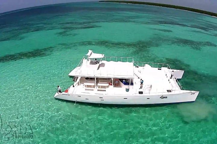 Saona Island Day Trip from Punta Cana — Snorkel, Natural Pool & Beach Buffet photo 4