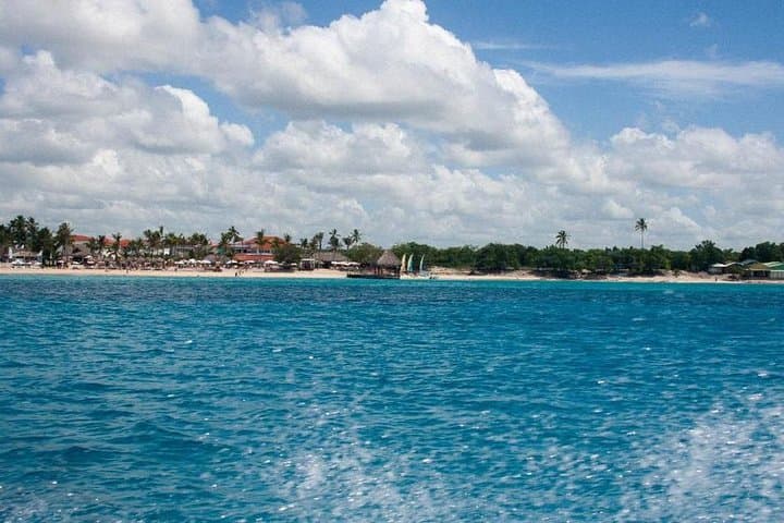 Saona Island Day Trip from Punta Cana — Snorkel, Natural Pool & Beach Buffet photo 2