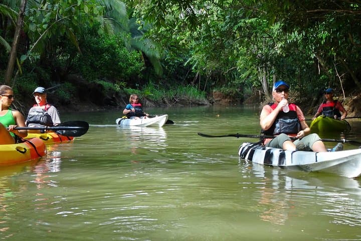 Paddle the Mangrove Labyrinth: Damas Island Kayak Tour from Manuel Antonio photo 3