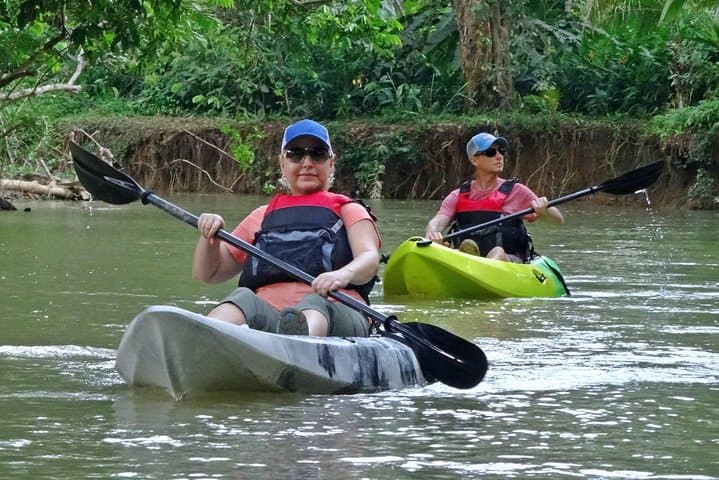 Paddle the Mangrove Labyrinth: Damas Island Kayak Tour from Manuel Antonio photo 5