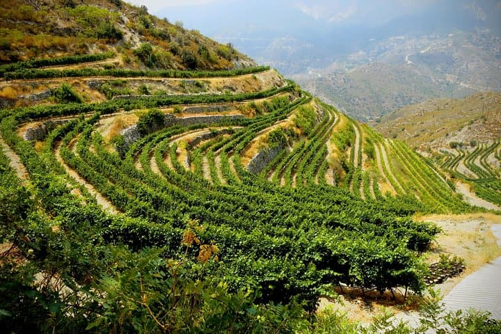 Troodos Mountains Wine Tour — Full-Day Vino Venture from Larnaca photo 4