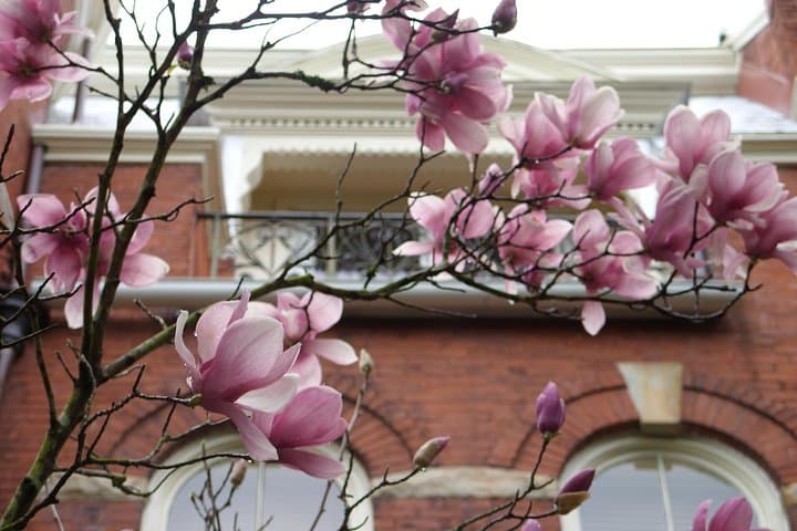 Exploring Savannah’s Historic District: A Walking Tour Through Time and Culture photo 6