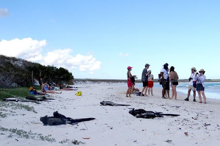Quito to Galápagos: 8-Day Ecuadorian Nature & Culture Experience