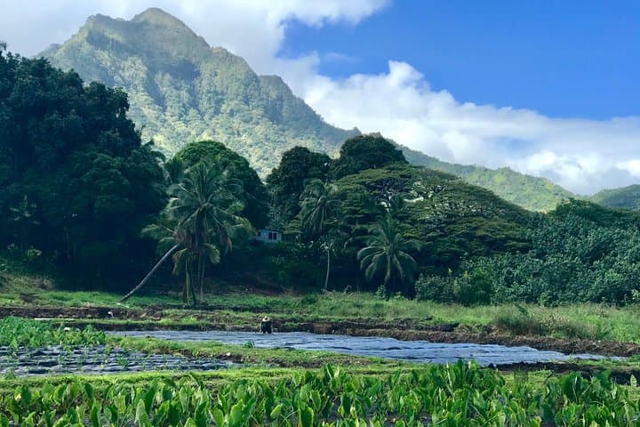 Oahu Voluntourism: Custom Private Community Service Tours from Honolulu