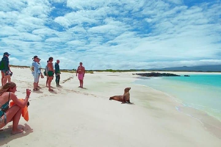 Quito to Galápagos: 8-Day Ecuadorian Wildlife & Volcano Adventure