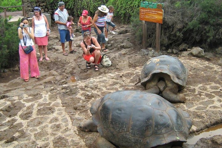 Quito to Galápagos: 8-Day Ecuadorian Wildlife & Volcano Adventure photo 6
