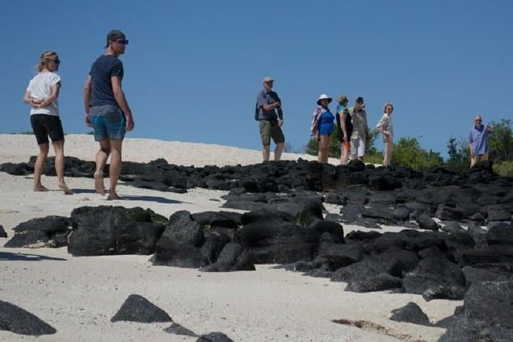 Quito to Galápagos: 8-Day Ecuadorian Wildlife & Volcano Adventure photo 5