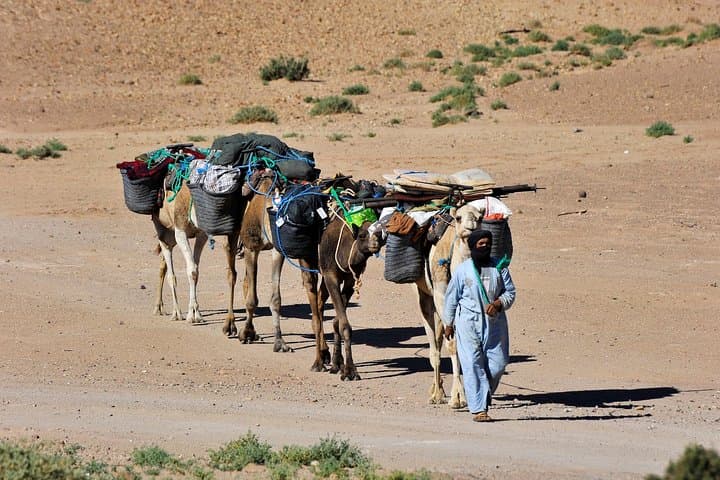 Marrakech to the Sahara: 4-Day Hiking Trek with Nomad Camp Experience