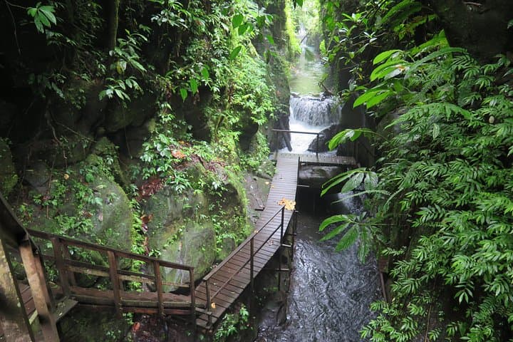Bali Quad & Buggy Tour with Jungle Canyon Tubing — Full-Day Ubud Adventure photo 3