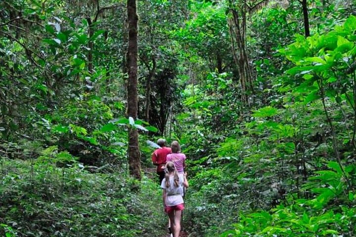 Sinharaja Rainforest Trekking: Private Day Trip with Local Rice & Curry photo 2