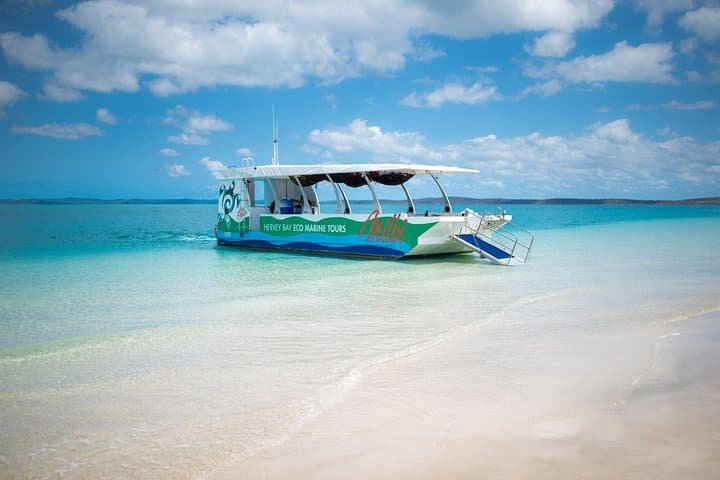 Turtle Discovery: Great Sandy Marine Park Glass-Bottom Cruise from Hervey Bay
