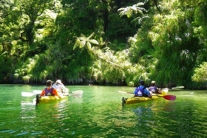 Half-Day Sea Kayak Trip from Picton — Paddle Grove Arm in Queen Charlotte Sound photo 2