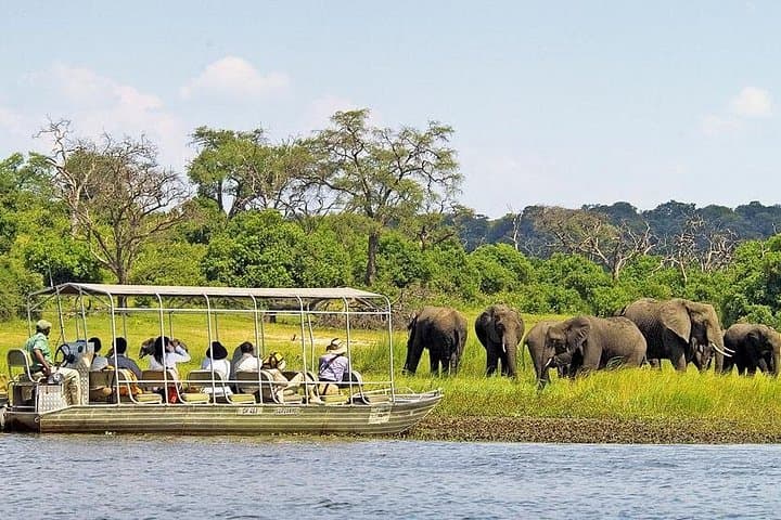 Chobe National Park Day Trip from Victoria Falls — Cruise, Game Drive & Lunch