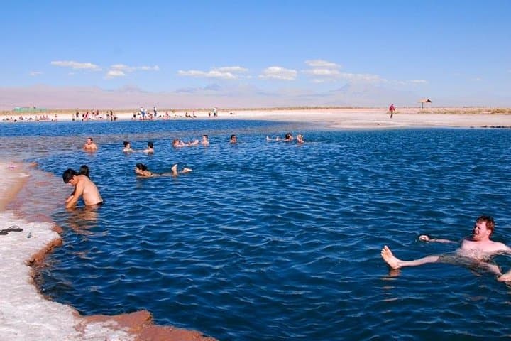 Float in Cejar Lagoon: Half-Day Afternoon Tour from San Pedro de Atacama