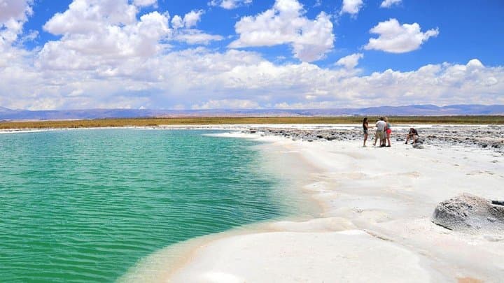 Float in Cejar Lagoon: Half-Day Afternoon Tour from San Pedro de Atacama photo 2
