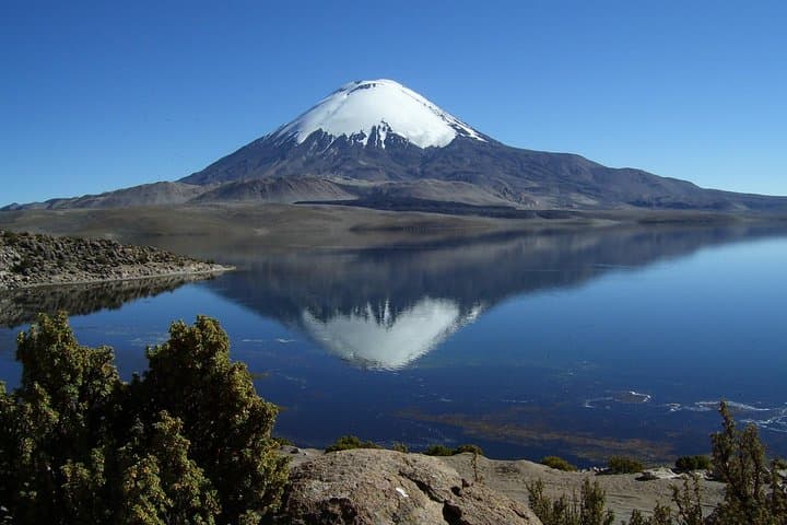 Lauca National Park & Lake Chungará: Full-Day Andean Wildlife, Geology and Archaeology from Arica photo 2