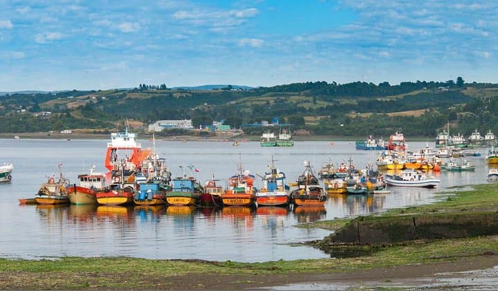 Chiloe Island Full-Day: Castro, Nercón & Dalcahue from Puerto Varas