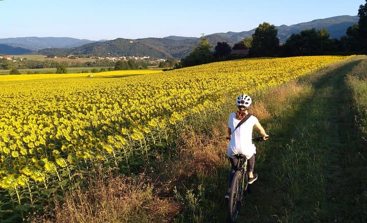 Cycling the Land of Painters: Mugello Bike Tour from Florence