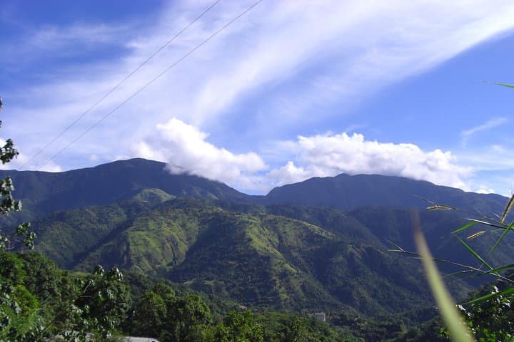 Blue Mountain Hike & Coffee Tour from Runaway Bay — Day Trip to Jamaica’s Coffee Country