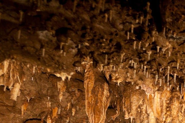 Explore Green Grotto Caves: Kingston Day Trip to Jamaica’s Historic Limestone Cavern photo 4