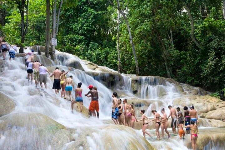 Zipline Over Dunn's River Falls: Falls Flyer Adventure from Montego Bay photo 5