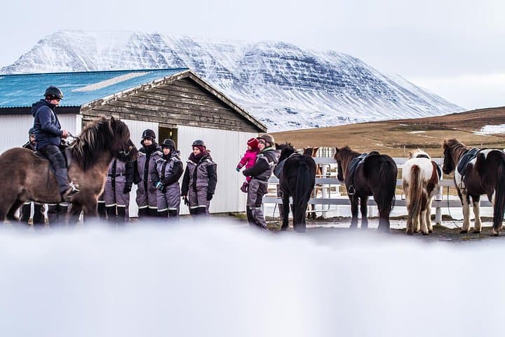 Viking Horse Riding Experience in North Iceland — Akureyri Fjord Trail photo 4