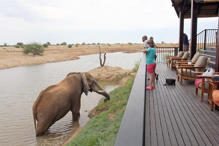 Adventure Silver Safari: 9-Day Namibia Safari, Swakopmund Desert & Coast Experience