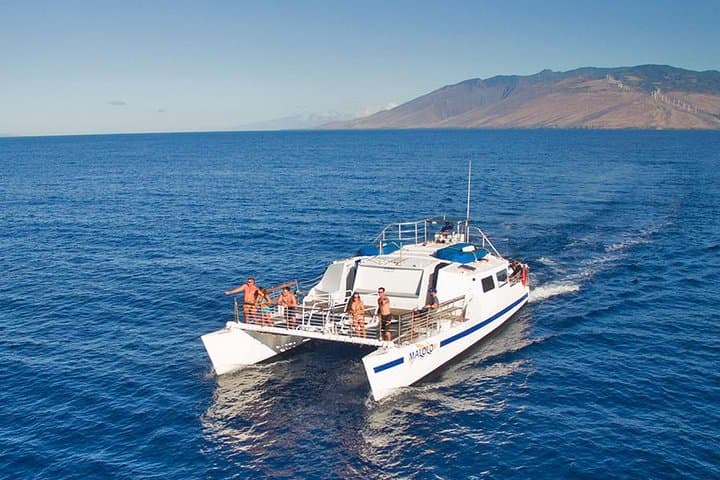 Ma'alaea Whale Watch Aboard the Malolo: 2-Hour Catamaran Cruise photo 2
