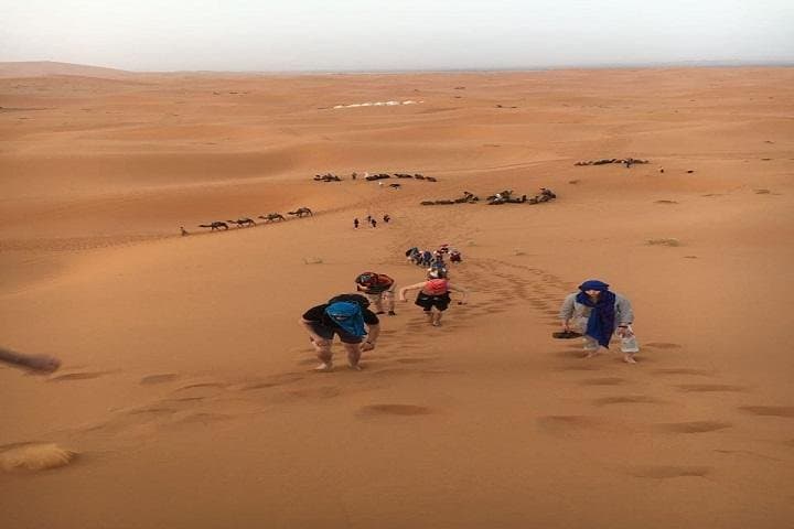 3-Day Sahara Camel Trek: Marrakech to Merzouga, Erg Chebbi & Dades Gorges photo 2