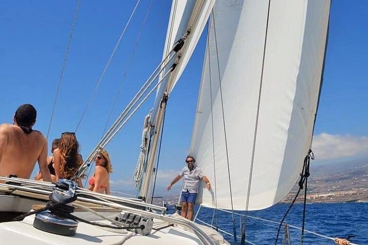 Private Yacht Excursion from Puerto Colón — 3-Hour Whale & Dolphin Cruise with Snorkel and Open Bar photo 2