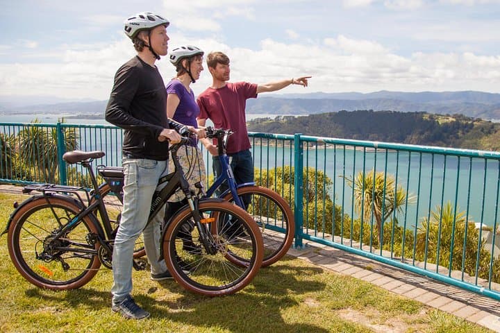 Guided Wellington Electric Bike Tour: Waterfront, Bays & Panoramic Lookouts