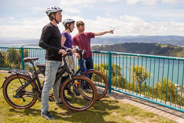 Wellington eBike Shore Excursion: Guided Waterfront & Miramar Tour
