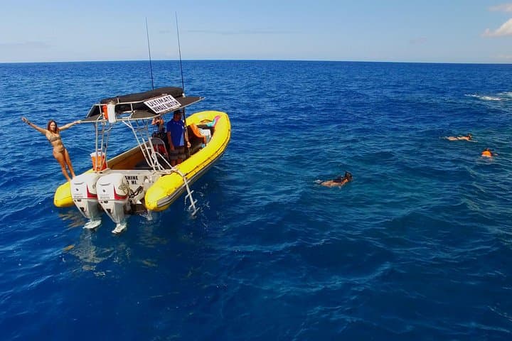 Explore Lanai’s Wild Shores: A Deluxe Dolphin and Snorkel Adventure photo 4