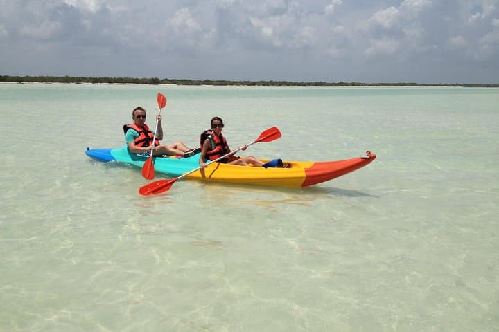 Explore Isla Holbox Mangroves: A Guided Kayaking Adventure photo 3