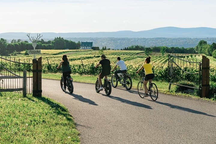 Ile d'Orléans E‑Bike Tour: Strawberries, Maple & Wine from Quebec City