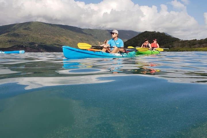 Kayak Turtle Tour from Palm Cove — Paddle to Double Island & Snorkel with Turtles