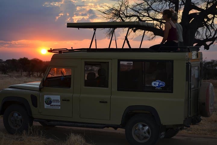 Selous Game Reserve Safari from Morogoro: 2-Day Budget Road Trip to See Elephants