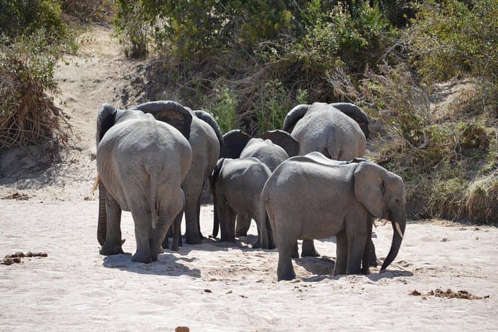 Selous Game Reserve Safari from Morogoro: 2-Day Budget Road Trip to See Elephants photo 2