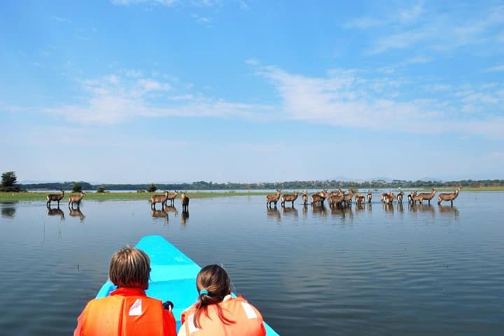 Hells Gate & Lake Naivasha Day Tour — Bike the Rift, Walk the Gorges, Boat for Hippos photo 2