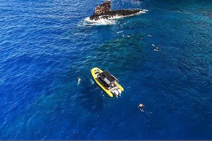 Lanai Snorkel & Dolphin Encounter: 4-Hour Small-Group Adventure from West Maui photo 2