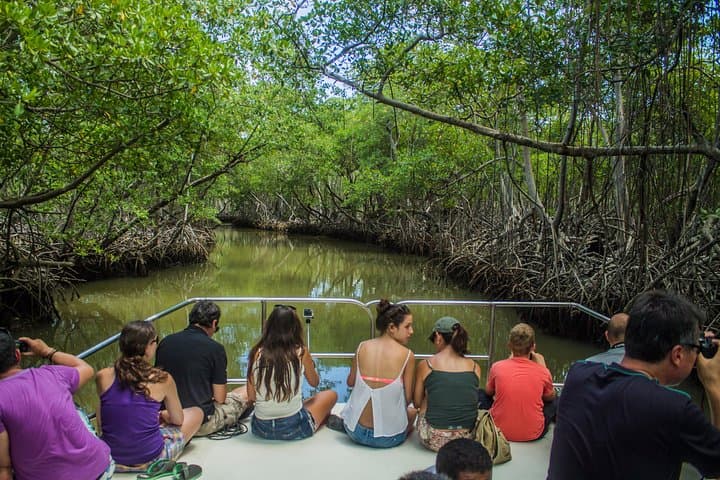 Los Haitises Eco Tour: Cano Hondo & Montaña Redonda Day Trip from Punta Cana photo 3