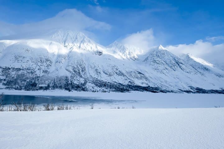 Fjord, Mountain and Wildlife Tour from Tromsø — Arctic Landscapes & Wildlife