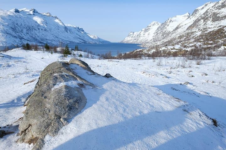 Fjord, Mountain and Wildlife Tour from Tromsø — Arctic Landscapes & Wildlife photo 4