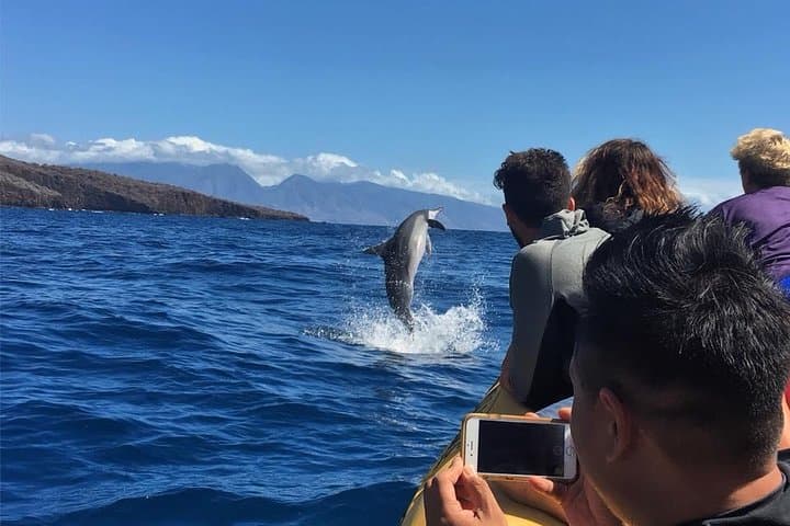 Lanai Snorkel & Dolphin Encounter: 4-Hour Small-Group Adventure from West Maui photo 3
