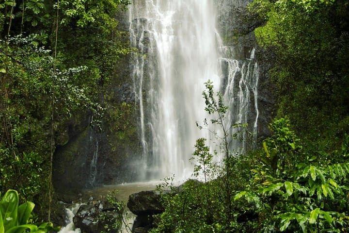 Road to Hana Day Tour: Black Sand Beaches, Waterfalls & Huli Huli Lunch photo 5