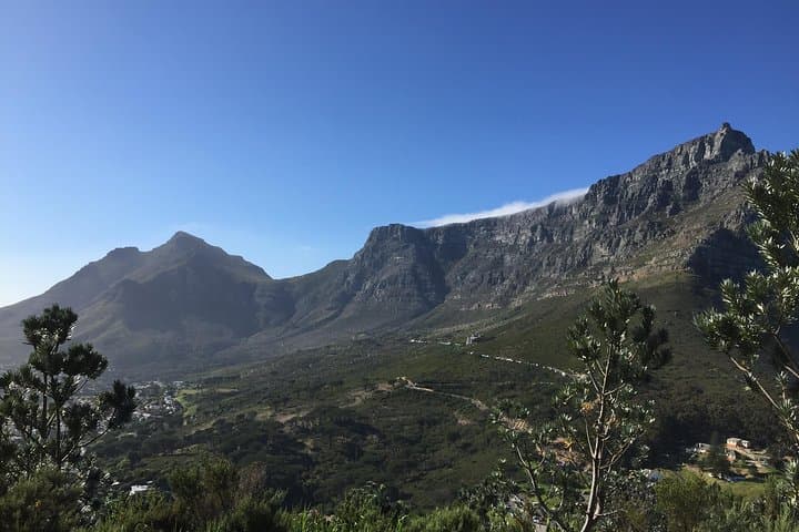 table-mountain-hike-all-routes-private-tour-cape-town photo 5