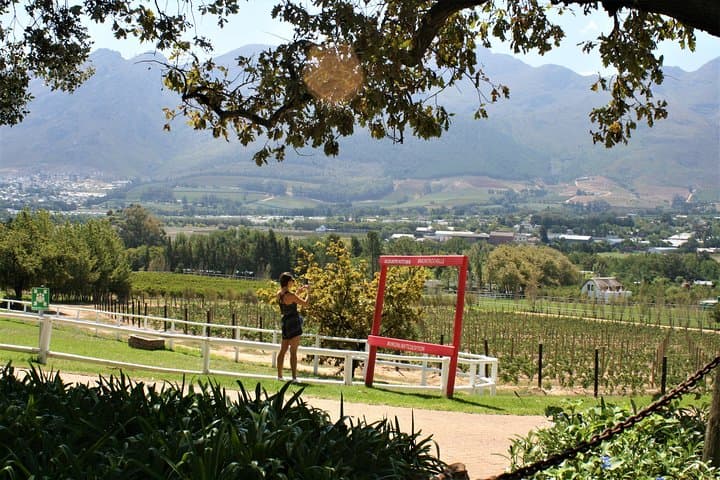 Franschhoek Sip & Cycle: Full-Day Private Wine and Vineyard Bike Tour photo 4