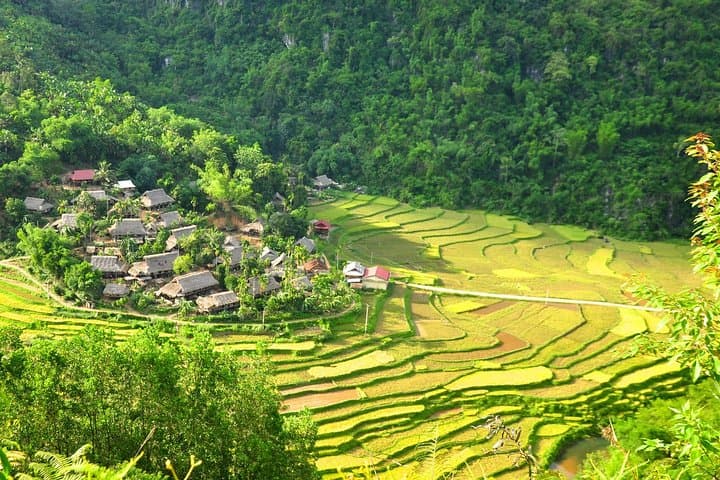 3-Day Pu Luong Trek: Homestays, Rice Terraces & Hill-tribe Trails from Hanoi