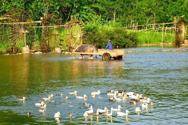 3-Day Pu Luong Trek: Homestays, Rice Terraces & Hill-tribe Trails from Hanoi photo 3