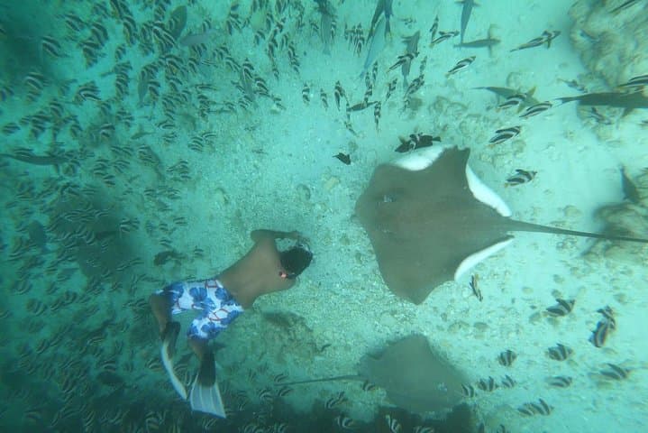 Hulhumale Island Hopping: Local Island Day Trip with Snorkeling photo 4